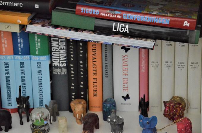 Grænselandet i bogreolen.